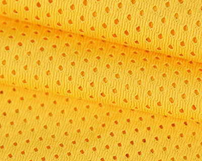 Bird’s Eye Mesh